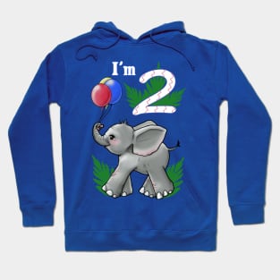 Elephant birthday shirt Hoodie